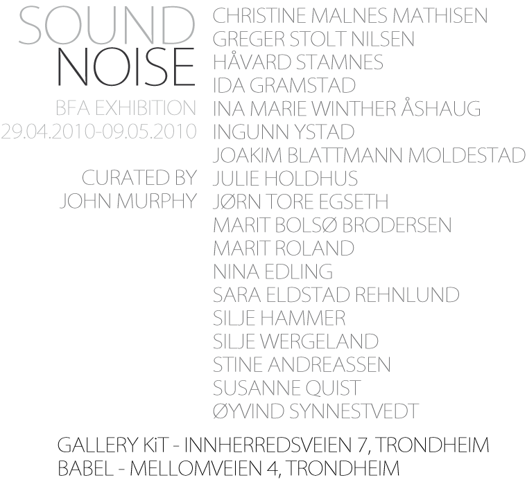 Sound Noise, BFA exhibition 2010